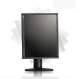 LG FLATRON L1942PK "19 DVI  