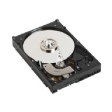 כונן קשיח WD Caviar® RE SATA II 5002ABYS 16MB RAID for 24/7 Western Digital כונן קשיח WD Caviar® RE SATA II 5002ABYS 16MB RAID for 24/7 Western Digital