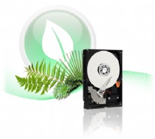 ���� ���� WD Caviar� SE SATA II�/III WD20EZRX  2000GB 64MB Western Digital 