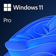 ����� ������ Microsoft  WIN11 Professional 64Bit English Enabled 